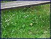 2016-06-10_foto018.jpg