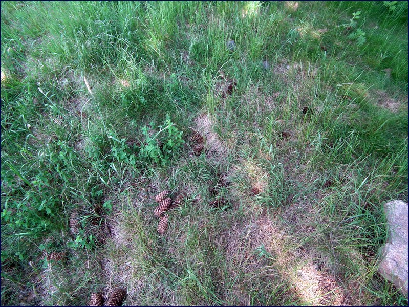 2017-06-03_foto030.jpg