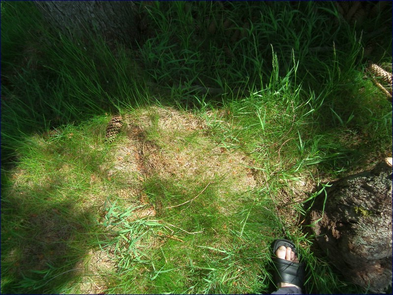 2017-06-03_foto031.jpg