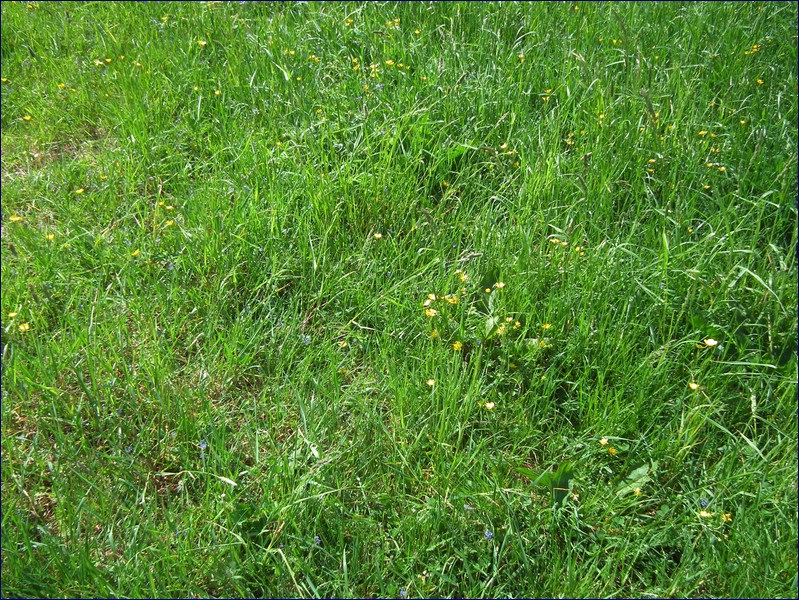 2017-06-03_foto035.jpg