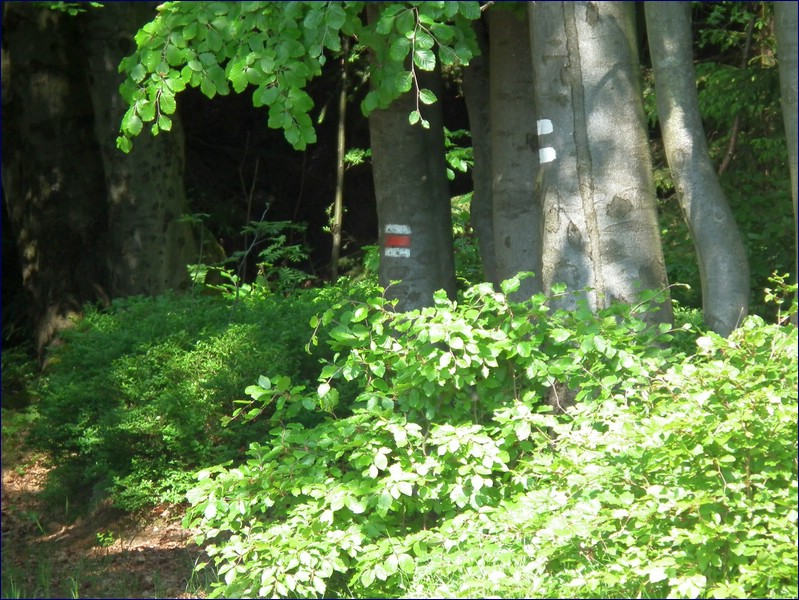 2017-06-03_foto037.jpg