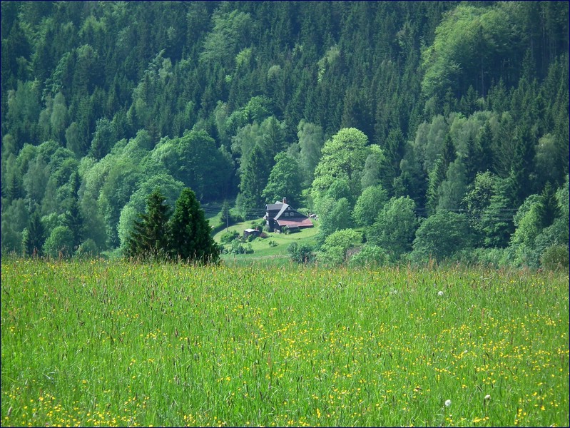 2017-06-03_foto040.jpg