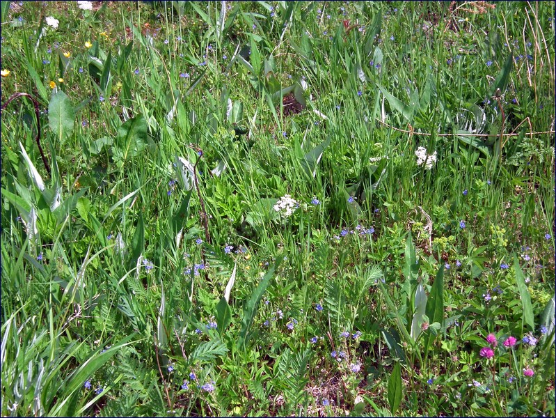 2017-06-03_foto041.jpg