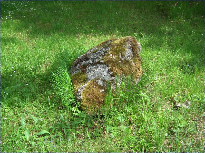 2017-06-03_foto044.jpg