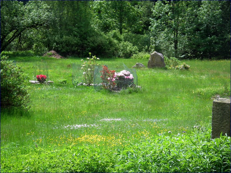 2017-06-03_foto045.jpg