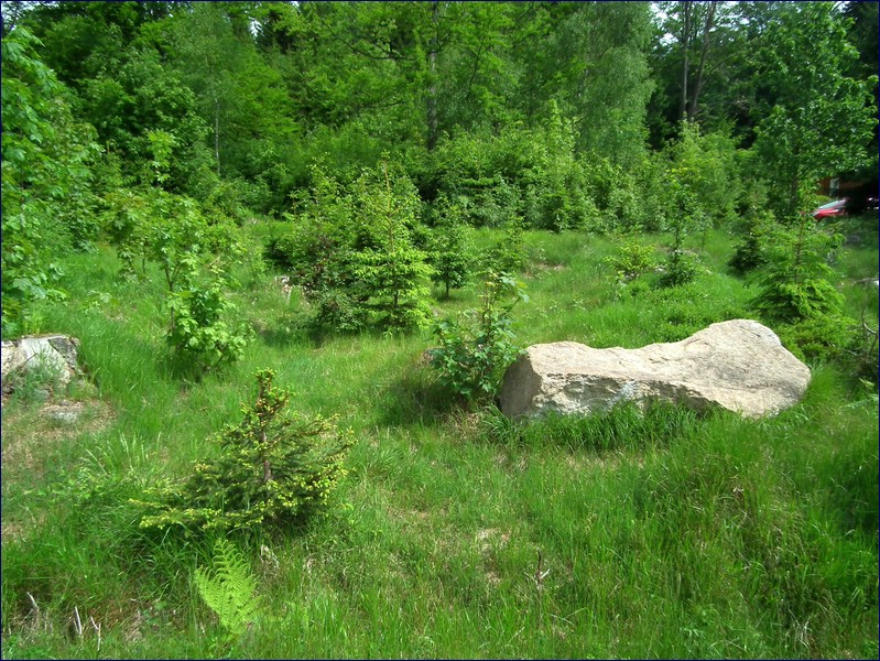 2017-06-03_foto047.jpg