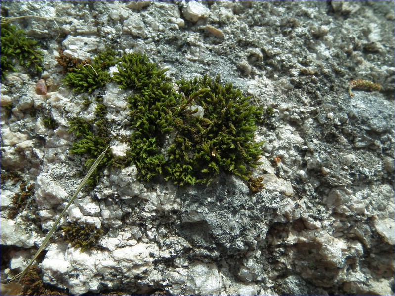 2017-06-03_foto050.jpg