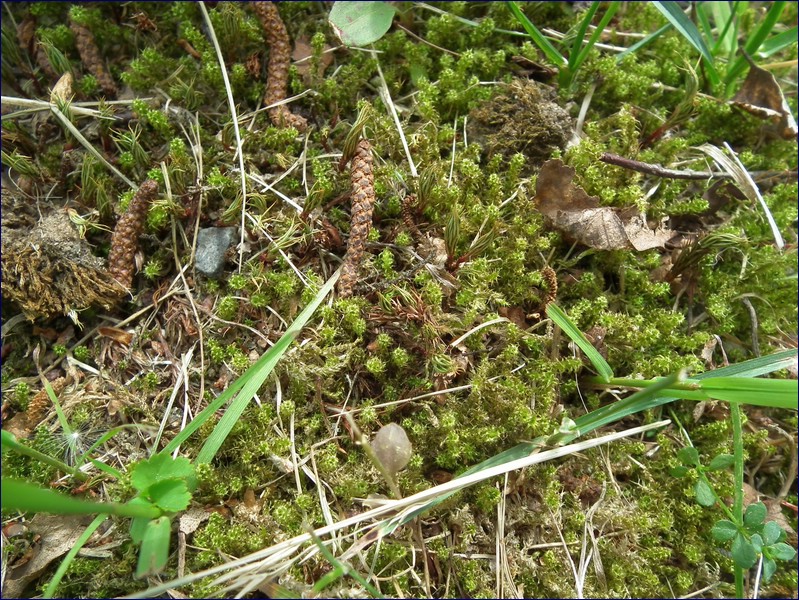 2017-06-03_foto051.jpg
