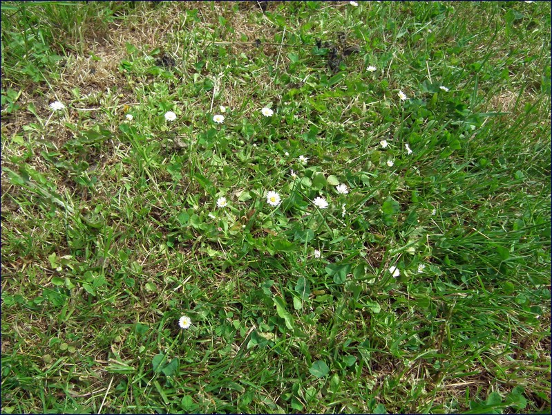 2017-06-03_foto052.jpg