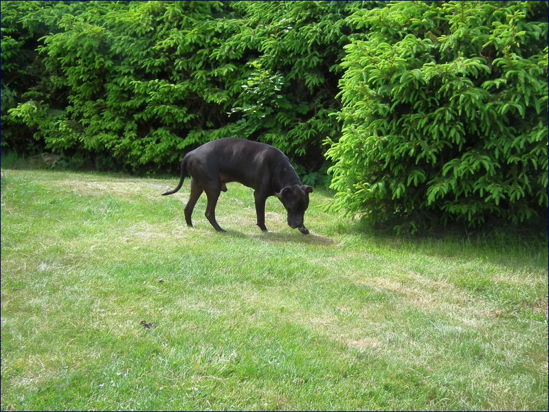 2017-06-03_foto055.jpg