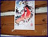 2017-06-03_foto003.jpg