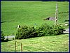 2017-06-03_foto014.jpg