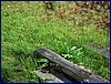 2017-06-03_foto016.jpg