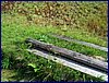 2017-06-03_foto017.jpg