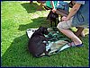 2017-06-03_foto020.jpg