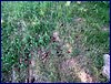 2017-06-03_foto030.jpg
