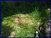 2017-06-03_foto031.jpg