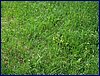 2017-06-03_foto035.jpg