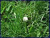 2017-06-03_foto036.jpg