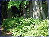2017-06-03_foto037.jpg