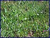 2017-06-03_foto041.jpg