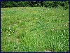 2017-06-03_foto042.jpg