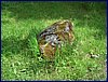 2017-06-03_foto044.jpg