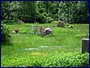 2017-06-03_foto045.jpg