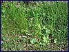 2017-06-03_foto046.jpg