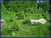 2017-06-03_foto047.jpg