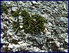 2017-06-03_foto050.jpg