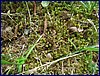 2017-06-03_foto051.jpg