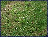 2017-06-03_foto052.jpg