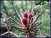 2017-06-03_foto054.jpg