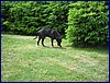 2017-06-03_foto055.jpg