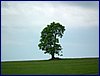 2017-06-03_foto057.jpg