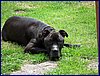 2017-06-03_foto060.jpg