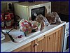 2017-06-03_foto070.jpg