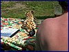 2017-06-03_foto073.jpg
