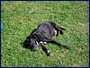 2017-06-03_foto075.jpg