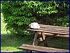 2017-06-03_foto078.jpg