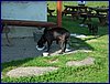 2017-06-03_foto081.jpg