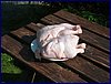 2017-06-03_foto083.jpg