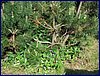 2017-06-03_foto084.jpg