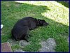 2017-06-03_foto091.jpg
