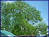 2017-06-03_foto092.jpg