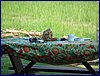 2017-06-03_foto094.jpg
