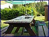 2017-06-03_foto102.jpg