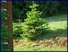 2017-06-03_foto103.jpg