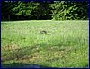 2017-06-03_foto105.jpg